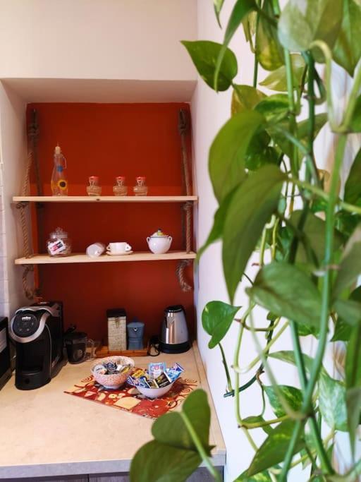 Casa Degli Alberi Daire Fiumicino Dış mekan fotoğraf