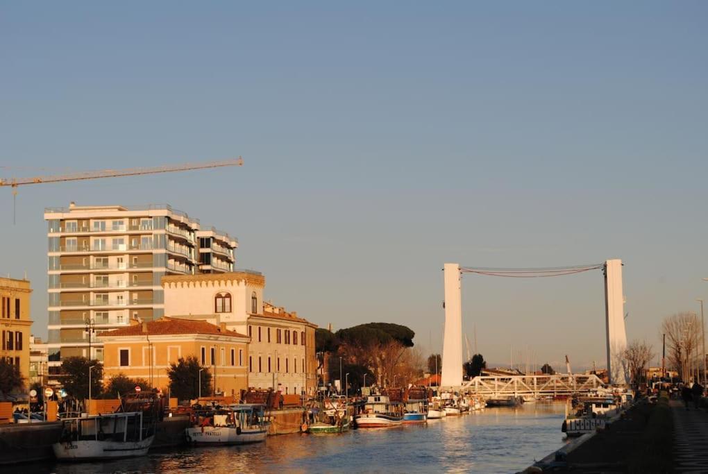Casa Degli Alberi Daire Fiumicino Dış mekan fotoğraf